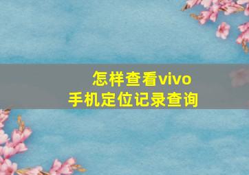 怎样查看vivo手机定位记录查询