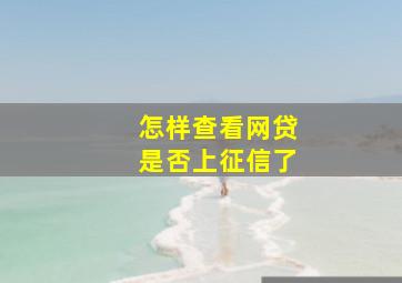 怎样查看网贷是否上征信了