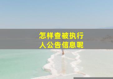 怎样查被执行人公告信息呢