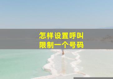 怎样设置呼叫限制一个号码