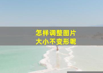 怎样调整图片大小不变形呢