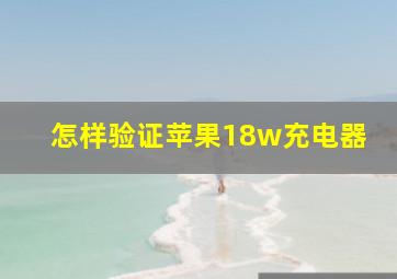 怎样验证苹果18w充电器