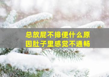 总放屁不排便什么原因肚子里感觉不通畅