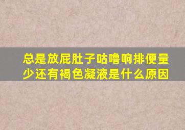 总是放屁肚子咕噜响排便量少还有褐色凝液是什么原因