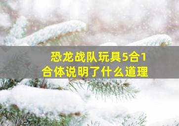 恐龙战队玩具5合1合体说明了什么道理