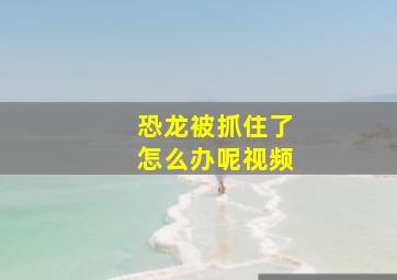 恐龙被抓住了怎么办呢视频