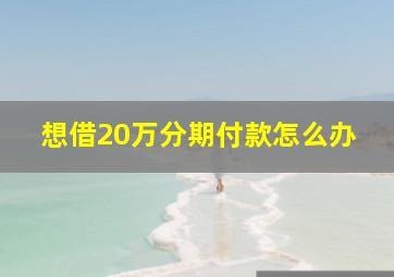 想借20万分期付款怎么办