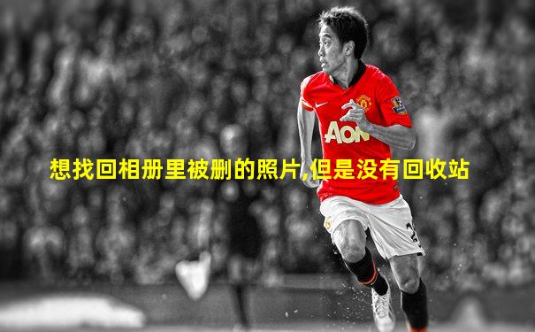想找回相册里被删的照片,但是没有回收站