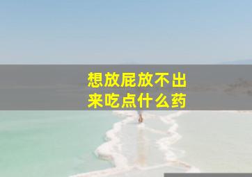 想放屁放不出来吃点什么药