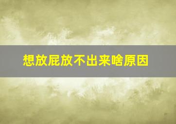 想放屁放不出来啥原因