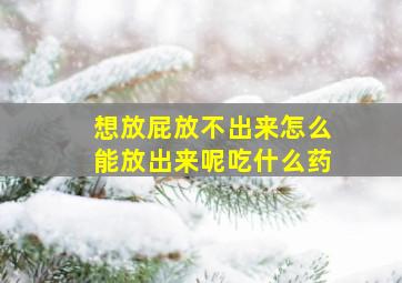 想放屁放不出来怎么能放出来呢吃什么药