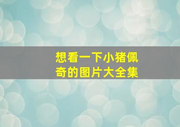 想看一下小猪佩奇的图片大全集