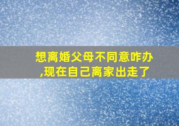 想离婚父母不同意咋办,现在自己离家出走了