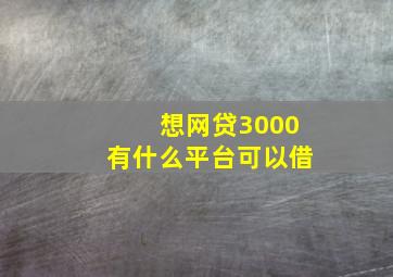 想网贷3000有什么平台可以借