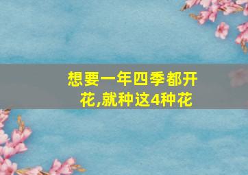 想要一年四季都开花,就种这4种花