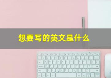 想要写的英文是什么