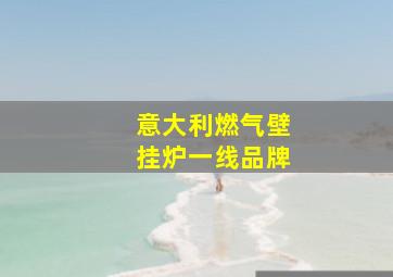 意大利燃气壁挂炉一线品牌