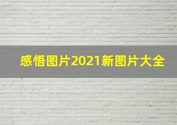 感悟图片2021新图片大全