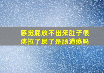 感觉屁放不出来肚子很疼拉了屎了是肠道癌吗