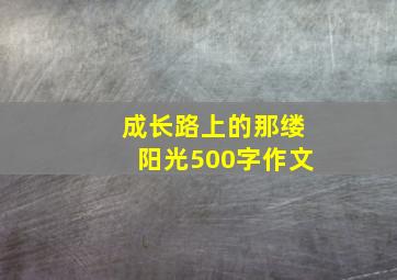 成长路上的那缕阳光500字作文