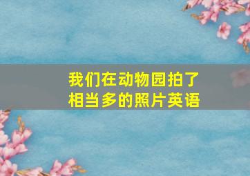 我们在动物园拍了相当多的照片英语