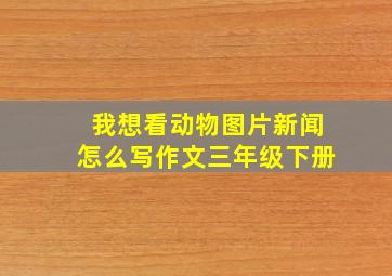 我想看动物图片新闻怎么写作文三年级下册