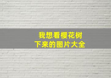 我想看樱花树下来的图片大全