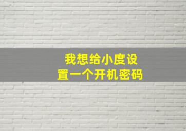 我想给小度设置一个开机密码