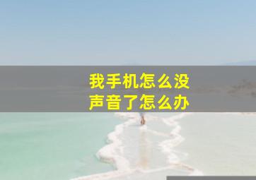 我手机怎么没声音了怎么办