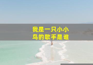 我是一只小小鸟的歌手是谁