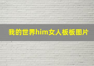 我的世界him女人板板图片