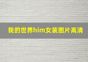 我的世界him女装图片高清