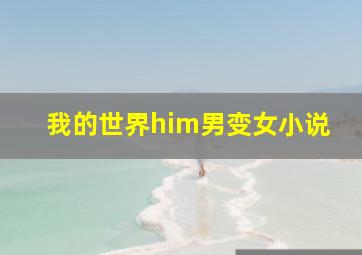 我的世界him男变女小说