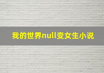 我的世界null变女生小说