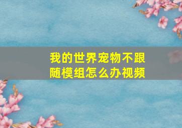 我的世界宠物不跟随模组怎么办视频