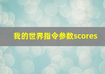 我的世界指令参数scores