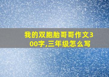 我的双胞胎哥哥作文300字,三年级怎么写