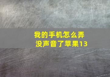 我的手机怎么弄没声音了苹果13