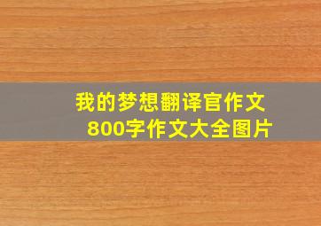 我的梦想翻译官作文800字作文大全图片