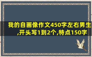 我的自画像作文450字左右男生,开头写1到2个,特点150字