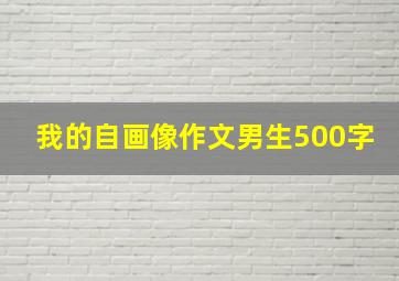 我的自画像作文男生500字