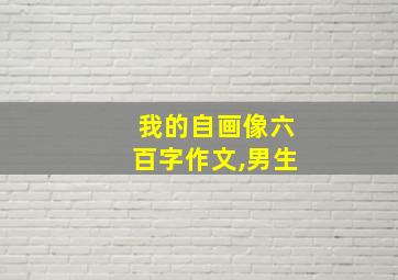 我的自画像六百字作文,男生