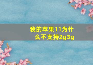 我的苹果11为什么不支持2g3g