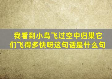 我看到小鸟飞过空中归巢它们飞得多快呀这句话是什么句