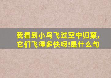 我看到小鸟飞过空中归窠,它们飞得多快呀!是什么句