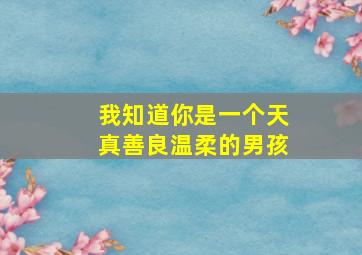 我知道你是一个天真善良温柔的男孩