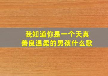 我知道你是一个天真善良温柔的男孩什么歌