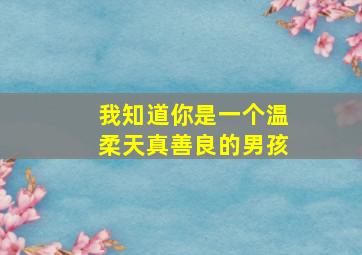 我知道你是一个温柔天真善良的男孩