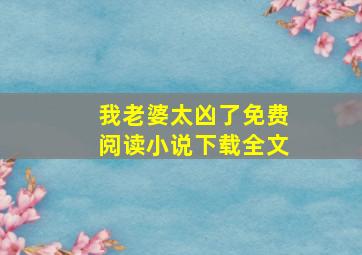 我老婆太凶了免费阅读小说下载全文