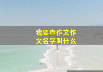 我要查作文作文名字叫什么